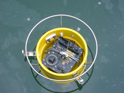 marinerabs